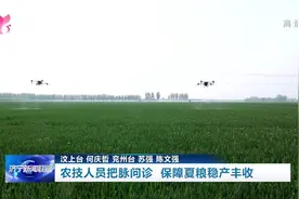 乡村振兴｜济宁：农技人员把脉问诊 保障夏粮稳产丰收图片