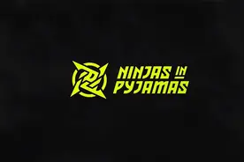 LOL：V5战队正式官宣更名为NIP，“小秀神”Dream挑起中单大梁！图片