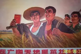 难忘的知青岁月图片