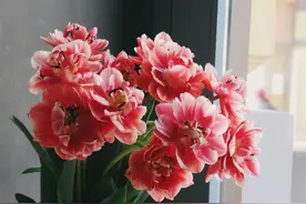 一个人从内心深处瞧不上你的迹象：三冷淡图片