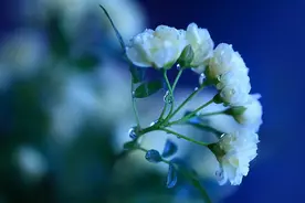 如果有一天，你发现自己没朋友了，请保持三种心态图片