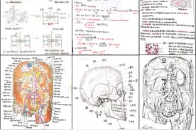 手绘人体器官，精美堪比印刷！天津大学“学霸笔记”火了，网友：这是高手！图片
