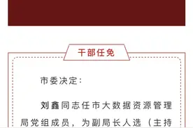 市大数据资源管理局局长刘军因履职不力停职检查图片