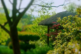 「原创诗词」刘永吉 | 闲来寻自适 何苦累虚名（诗词十首）图片