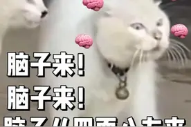 表情包：脑子来，脑子来，脑子从四面八方来图片