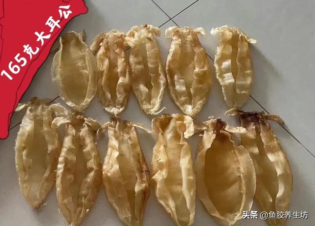 深海鳘鱼胶功效 2026年深海鱼胶正确吃法 深海鳘鱼胶功效 2026年深海鱼胶正确吃法