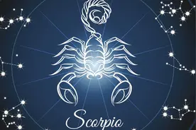 天蝎女和什么星座男最配 天蝎女最配的星座男图片