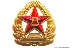 浅谈换装后的“21式武警帽徽”图片