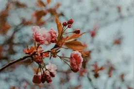苏东坡：笑着低下头的，都是聪明人图片