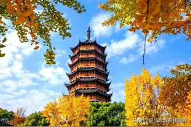 韩永海《难忘师生情》图片