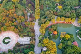 关于中山公园，你所不知道的十件事！图片