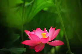 和有温度的人在一起，变得柔软图片