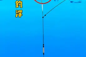 野钓遇走水时如何钓浮？试试这三种方法，效果很不错图片