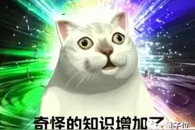 华人小哥用蟹壳做电池，5个月内完全降解，循环千次能效仍达99.7%图片
