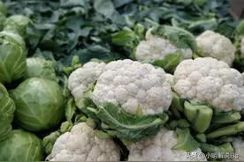 7种绿色无农药蔬菜，安心享用健康美味，大家有没有补充的！图片