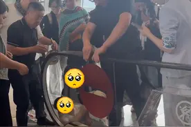 揪心！男童手卡机场扶梯，嚎啕大哭图片