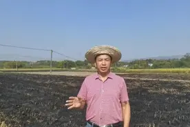 秸秆禁烧到底对不对？图片