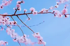 时间如筛，会筛选真情！图片