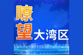 《瞭望大湾区》：新车上牌免查验试点新增21个城市 公安部推出10项交管服务便利措施图片