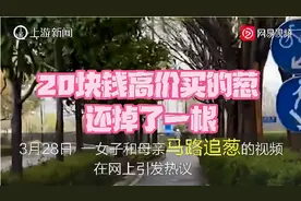 上海母女掉1根葱被捡走，追2公里讨回，当事人：葱太贵图片