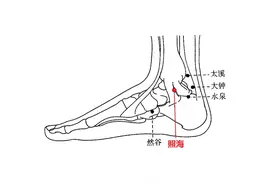 照海穴的妙用图片