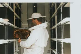 以色列机器人蜂箱容纳24个蜂群，蜜蜂死亡率降低80%，产量提升50%图片