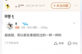 “泰国小菠萝”比糖还甜 王海测试检出内含甜蜜素图片