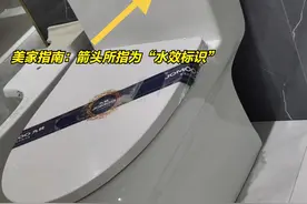 这5种马桶：挑选时一定要避开，并非唬人，而是过来人的经验图片