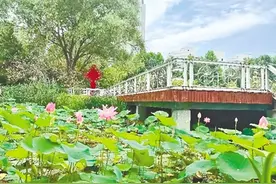 【一座城市的发展调研报告】高新区枫杨办事处： 党旗如炽风帆劲 务实笃行谋新篇图片
