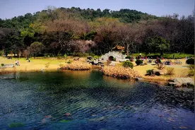 武汉市内1-2天短途自驾游景点推荐图片