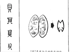 甲骨文演义“贝、钱”字：通过对古籍汉字的解读破解华夏文明密码图片