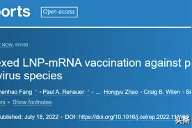 新冠疫苗四连！多价mRNA疫苗可有效预防多个种属的致重症冠状病毒图片