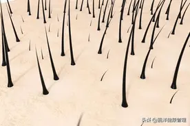 为啥有的人“下面”没毛？女性私处毛发的秘密，你知道几个图片
