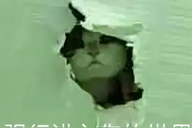 细思极恐！搬家后猫半夜冲着空气嚎叫，妹子：可那里什么都没有啊图片