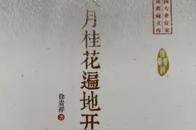 看《八月桂花遍地开》有感图片