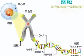退休医生坦言：寿命长不是多走路和多睡觉，坚持这2件小事很重要图片
