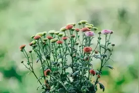 如果你现在很穷，注意以下三个细节，容易发财图片