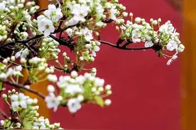 人生无常，懂得欣赏沿途的风景，也懂得在苦难中完善自我图片