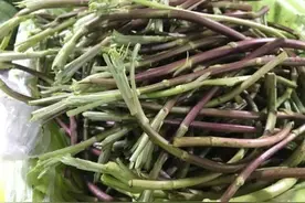 带你认识16种不同的野菜，附带图片和吃法，若见到请珍惜图片