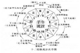 根尘不偶老师讲《四圣心源》六气解(13)图片