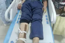 气愤！24楼掉下哈士奇砸伤老人孩子图片