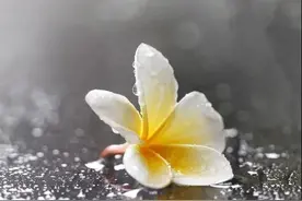 想死的心都有，老公说我是灾星，害得双胞胎儿子一死一疯，家完了图片