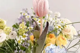 能及时走出婚外情的人，多半都是懂得了“嗑瓜子效应”图片