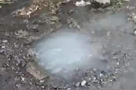 水管爆管！7个月7次！青浦一小区频现“趵突泉”图片