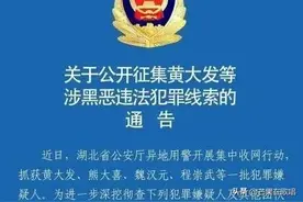 武汉最大黑社会头目落网！警惕黑社会老大变身党委书记！图片