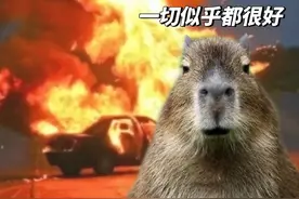 水豚：死了就死了，没死就活着。网友：在演我的精神状态图片