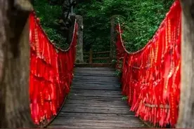 年纪越大，我越能理解我妈的迷信图片