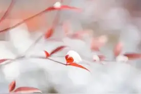 结婚后，不要把这些隐私告诉别人图片