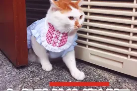 17岁高中生急性肾衰情况危急！只因这“戒不掉”的坏习惯→图片