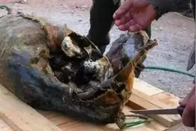 爱斯基摩人美食腌海雀，臭到令人呕吐，为啥当地人吃得津津有味？图片